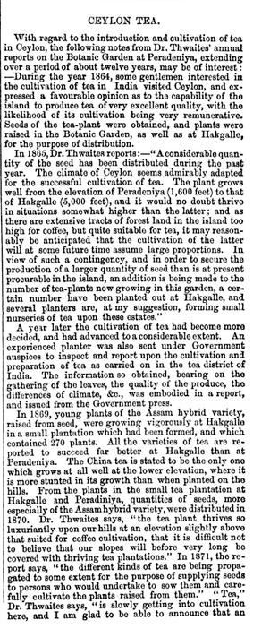 21.Ceylon Tea - Notes from Dr Thwaites (Pt 1)