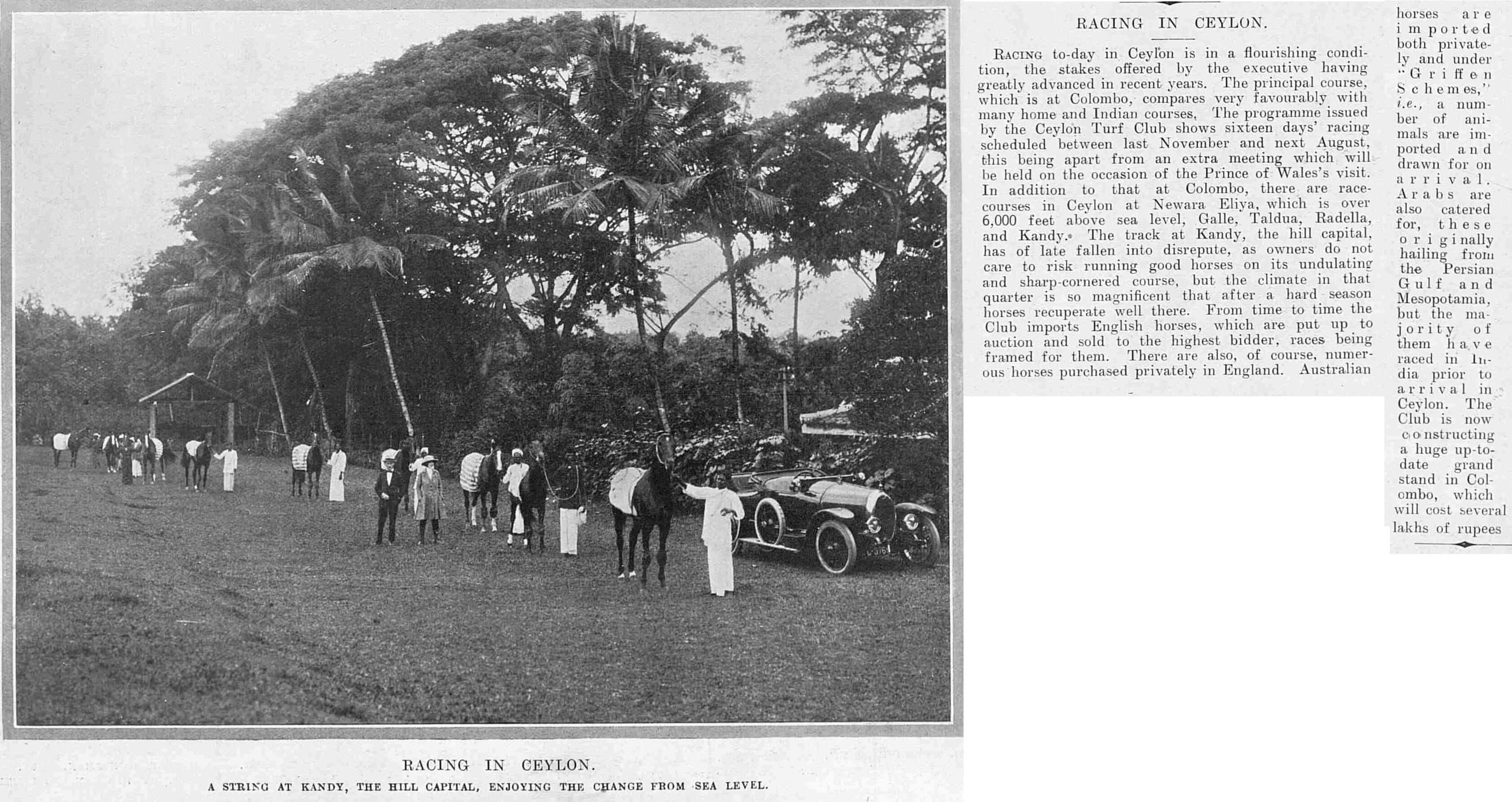 67. Horse Racing in Ceylon 